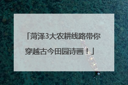 菏泽3大农耕线路带你穿越古今田园诗画！