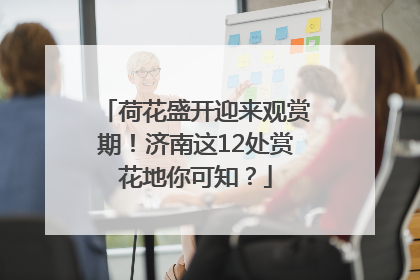 荷花盛开迎来观赏期！济南这12处赏花地你可知？