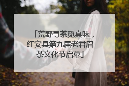 荒野寻茶觅真味，红安县第九届老君眉茶文化节启幕