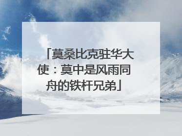 莫桑比克驻华大使：莫中是风雨同舟的铁杆兄弟