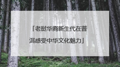 老挝华裔新生代在普洱感受中华文化魅力