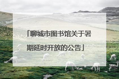 聊城市图书馆关于暑期延时开放的公告