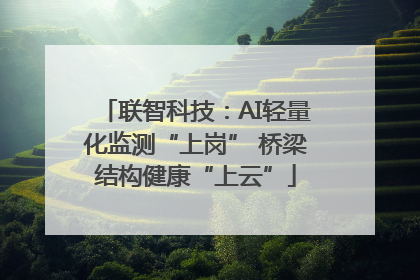 联智科技：AI轻量化监测“上岗” 桥梁结构健康“上云”