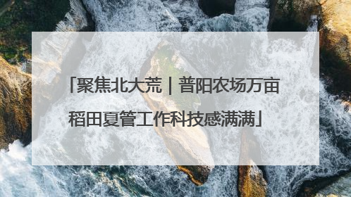 聚焦北大荒｜普阳农场万亩稻田夏管工作科技感满满