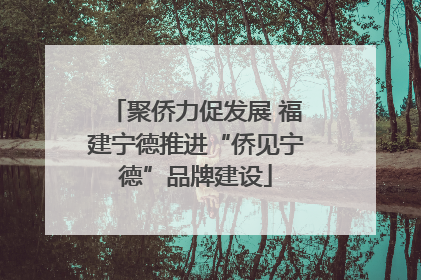 聚侨力促发展 福建宁德推进“侨见宁德”品牌建设