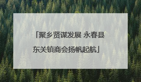 聚乡贤谋发展 永春县东关镇商会扬帆起航