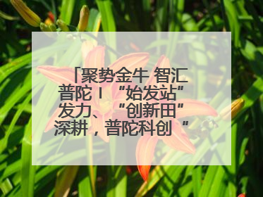 聚势金牛 智汇普陀〡“始发站”发力、“创新田”深耕，普陀科创“金牛”闪耀