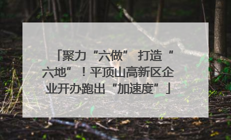 聚力“六做” 打造“六地”！平顶山高新区企业开办跑出“加速度”