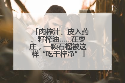 肉榨汁、皮入药、籽榨油……在枣庄，一颗石榴被这样“吃干榨净”