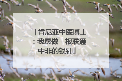 肯尼亚中医博士：我愿做一根联通中非的银针