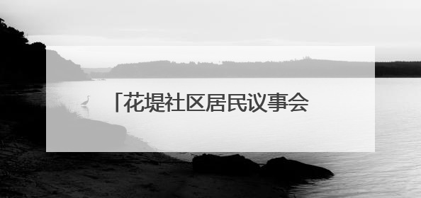 花堤社区居民议事会共绘“花”样家园