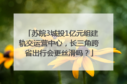 苏皖3城投1亿元组建轨交运营中心，长三角跨省出行会更丝滑吗？