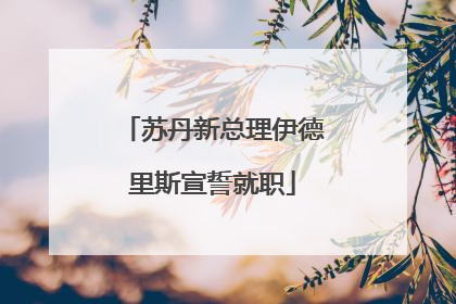 苏丹新总理伊德里斯宣誓就职