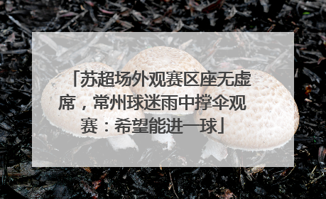 苏超场外观赛区座无虚席，常州球迷雨中撑伞观赛：希望能进一球