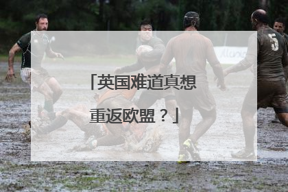 英国难道真想重返欧盟？