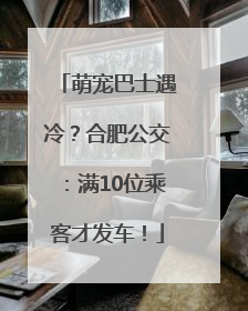 萌宠巴士遇冷？合肥公交：满10位乘客才发车！