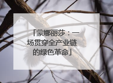 蒙娜丽莎：一场贯穿全产业链的绿色革命
