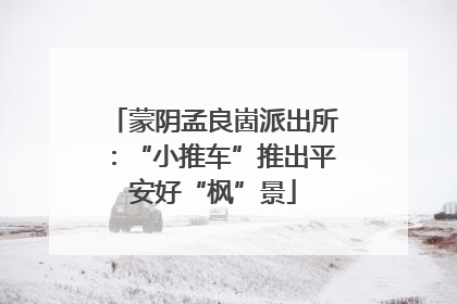 蒙阴孟良崮派出所：“小推车”推出平安好“枫”景