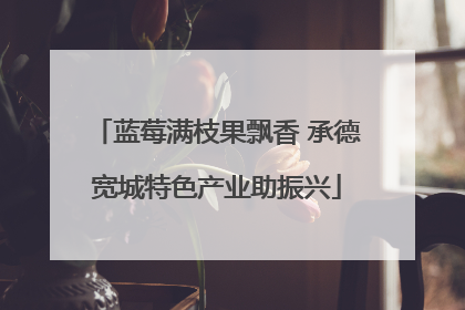 蓝莓满枝果飘香 承德宽城特色产业助振兴