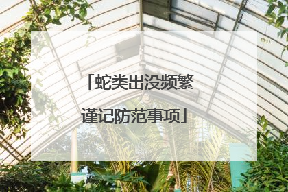 蛇类出没频繁 谨记防范事项