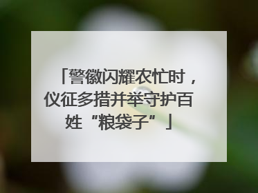 警徽闪耀农忙时，仪征多措并举守护百姓“粮袋子”