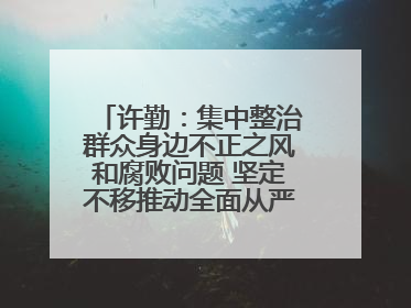 许勤：集中整治群众身边不正之风和腐败问题 坚定不移推动全面从严治党向基层延伸