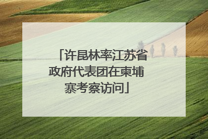 许昆林率江苏省政府代表团在柬埔寨考察访问