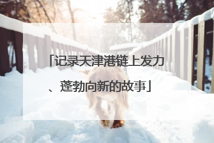 记录天津港链上发力、蓬勃向新的故事