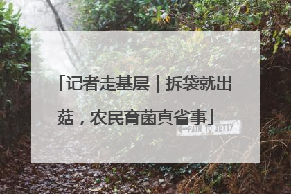 记者走基层｜拆袋就出菇，农民育菌真省事