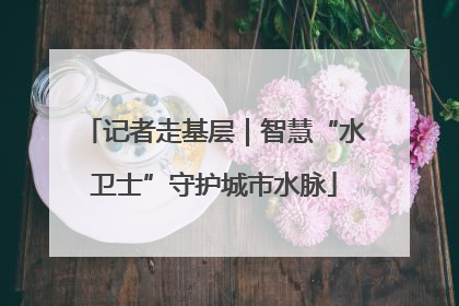 记者走基层｜智慧“水卫士”守护城市水脉