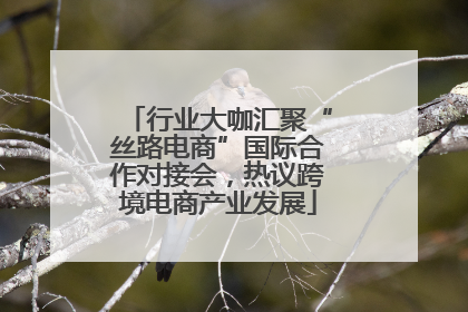 行业大咖汇聚“丝路电商”国际合作对接会，热议跨境电商产业发展