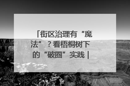 街区治理有“魔法”？看梧桐树下的“破圈”实践｜我在街区当书记
