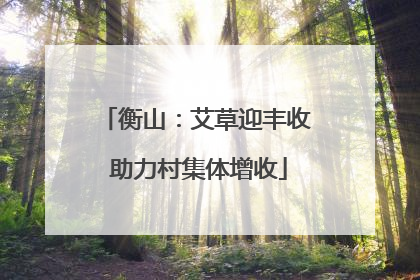 衡山：艾草迎丰收 助力村集体增收