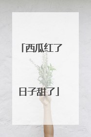 西瓜红了 日子甜了