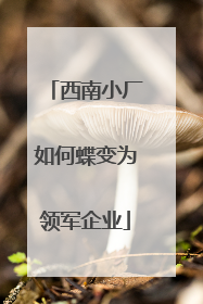 西南小厂如何蝶变为领军企业
