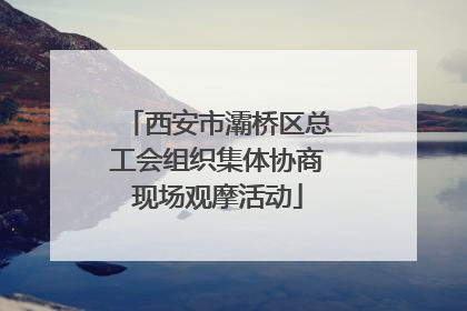 西安市灞桥区总工会组织集体协商现场观摩活动