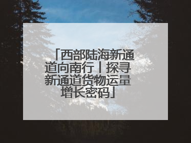 西部陆海新通道向南行丨探寻新通道货物运量增长密码
