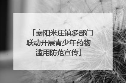 襄阳米庄镇多部门联动开展青少年药物滥用防范宣传