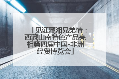 见证藏湘兄弟情：西藏山南特色产品亮相第四届中国-非洲经贸博览会