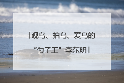 观鸟、拍鸟、爱鸟的“勺子王”李东明