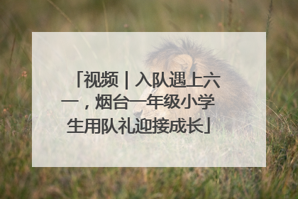 视频｜入队遇上六一，烟台一年级小学生用队礼迎接成长