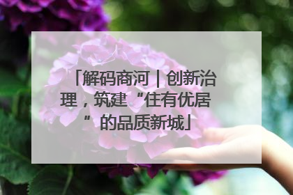 解码商河｜创新治理，筑建“住有优居”的品质新城