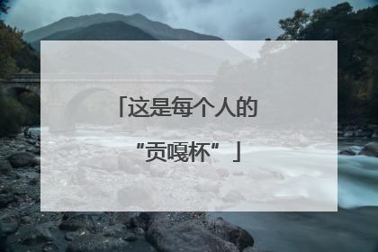 这是每个人的“贡嘎杯”