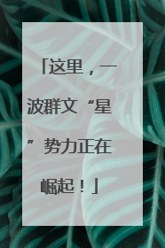 这里，一波群文“星”势力正在崛起！