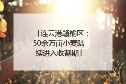 连云港赣榆区：50余万亩小麦陆续进入收割期
