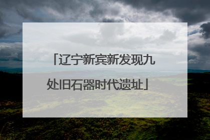 辽宁新宾新发现九处旧石器时代遗址