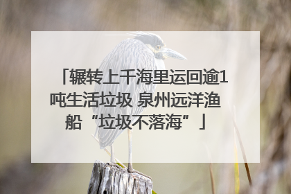 辗转上千海里运回逾1吨生活垃圾 泉州远洋渔船“垃圾不落海”