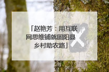 赵艳芳：用互联网思维铺就固阳县乡村助农路