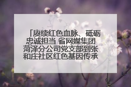 赓续红色血脉、砥砺忠诚担当 省网媒集团菏泽分公司党支部到张和庄社区红色基因传承馆开展主题党日活动
