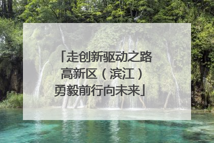 走创新驱动之路 高新区（滨江）勇毅前行向未来